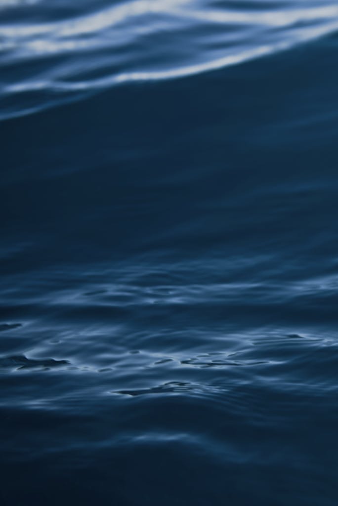 Body of Water