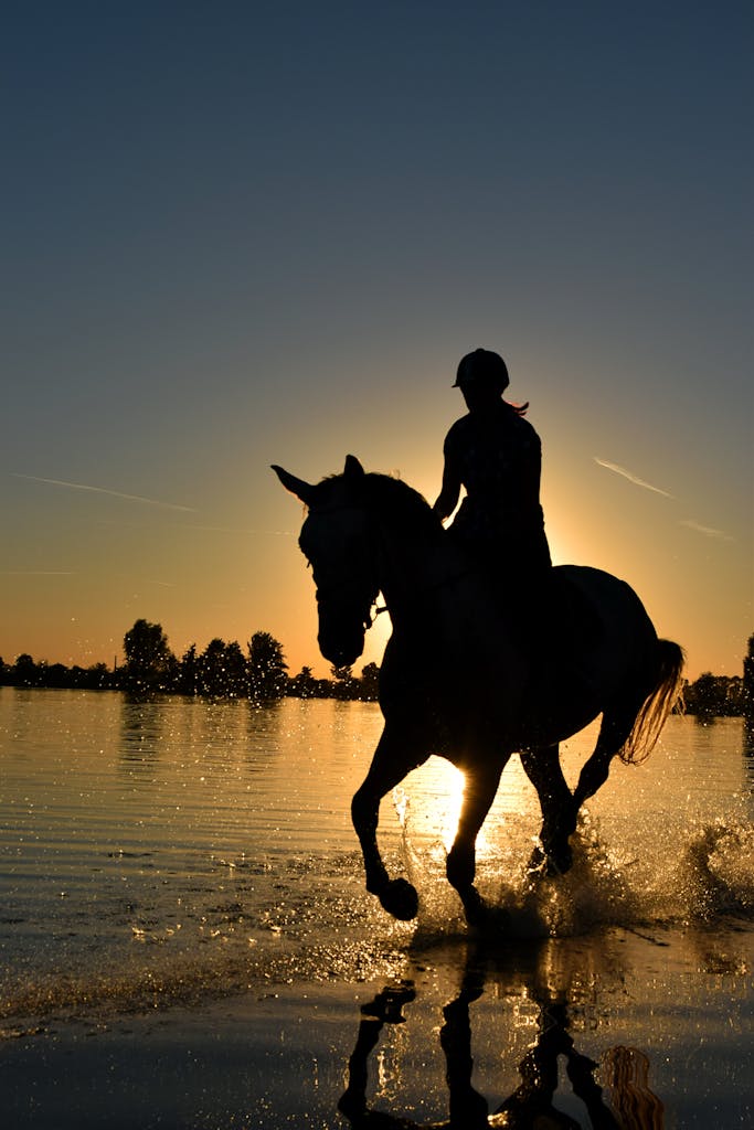 A silhouette of a person riding a horse on the beach at sunset, creating a serene and dynamic scene.